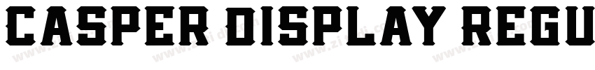 Casper Display Regul字体转换
